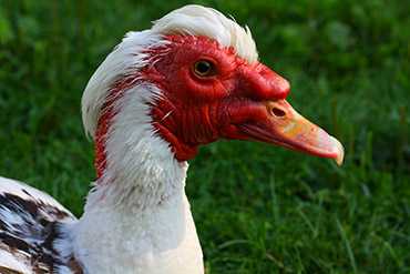 Taken in Stratford, Ontario